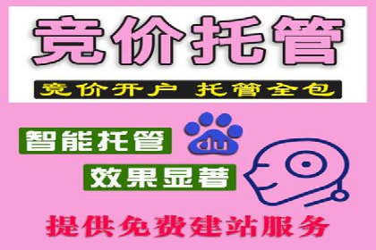 竞价广告的智能投放：XX平台的创新实践